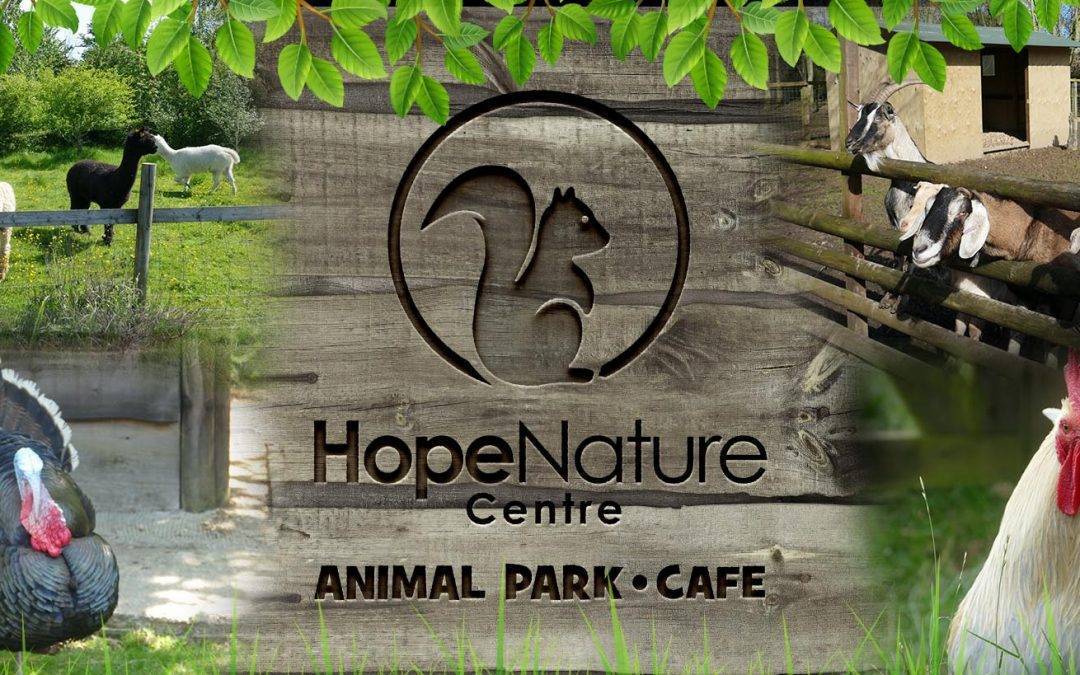 Hope Nature Centre Wins 2020 Tripadvisor Travelers’ Choice Award