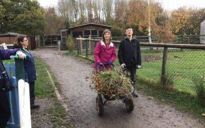 Fairfield Farm College students working hard at Hope Nature Centre