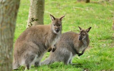 Hope Nature Centre re-opens after 4 month closure