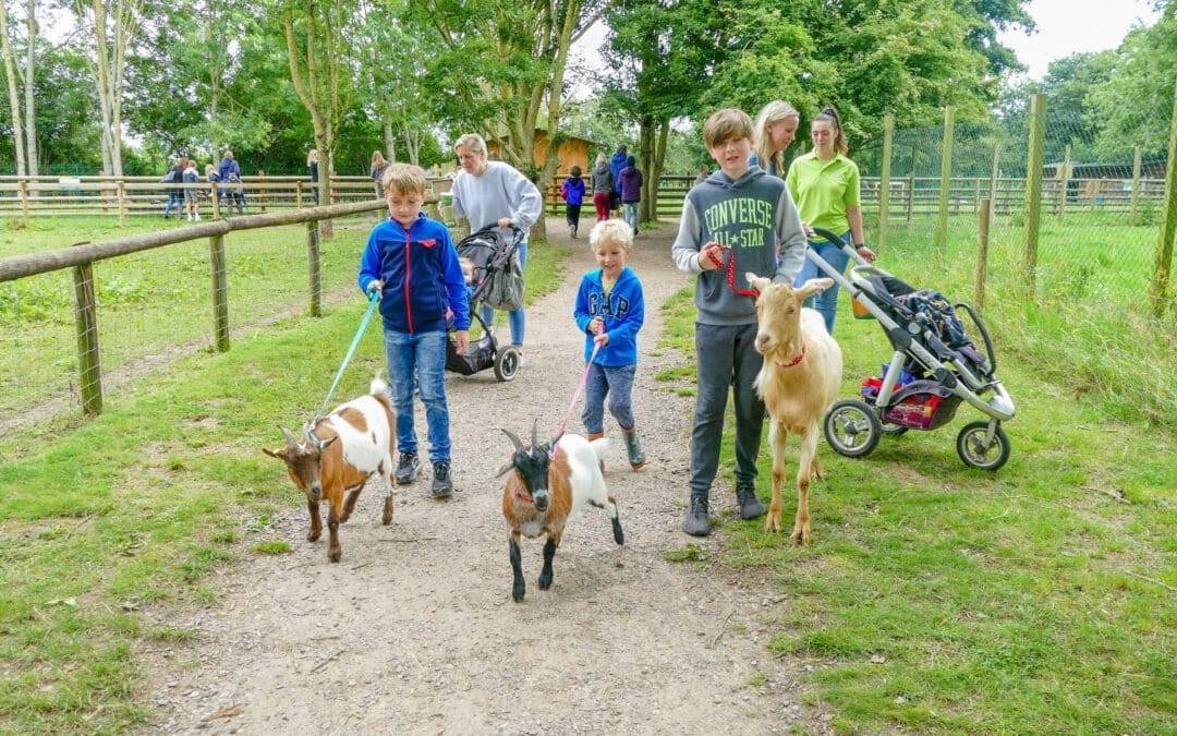 Goat Walks return to Hope Nature Centre