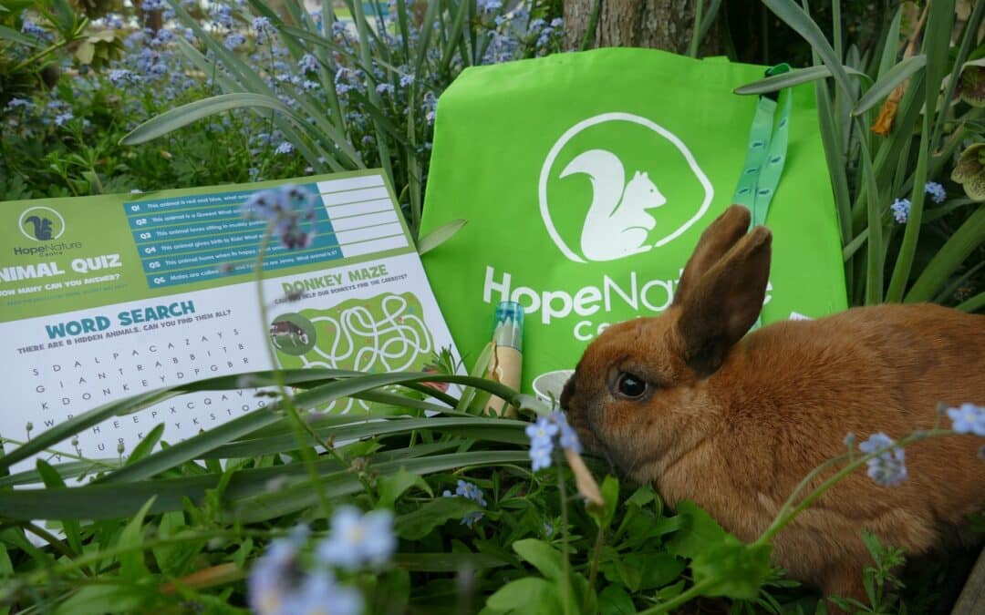 New Hope Nature Centre Activity Pack now available
