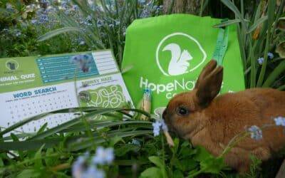 New Hope Nature Centre Activity Pack now available