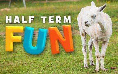 Join us this May half term at Hope Nature Centre