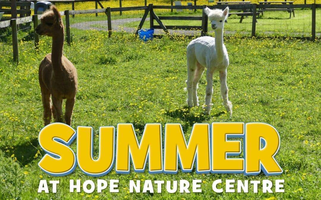 Summer fun at Hope Nature Centre!
