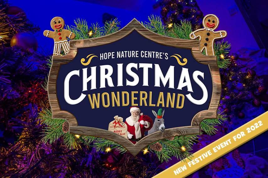 Tickets for our ‘Christmas Wonderland’ are now on sale!