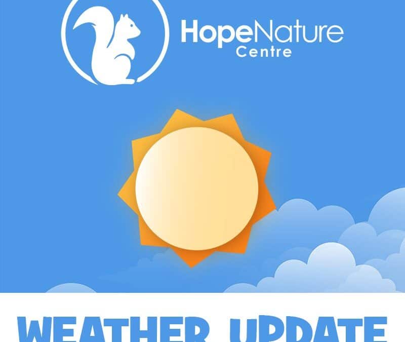 HOT WEATHER UPDATE AT HOPE NATURE CENTRE