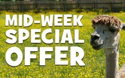 MID-WEEK OFFER: FREE CHILD LUNCH BAG WITH CHILD ENTRY TICKETS