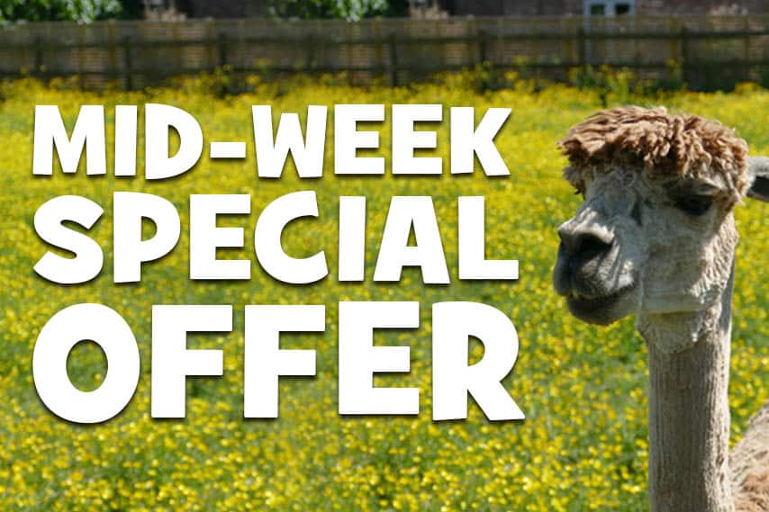 MID-WEEK OFFER: FREE CHILD LUNCH BAG WITH CHILD ENTRY TICKETS