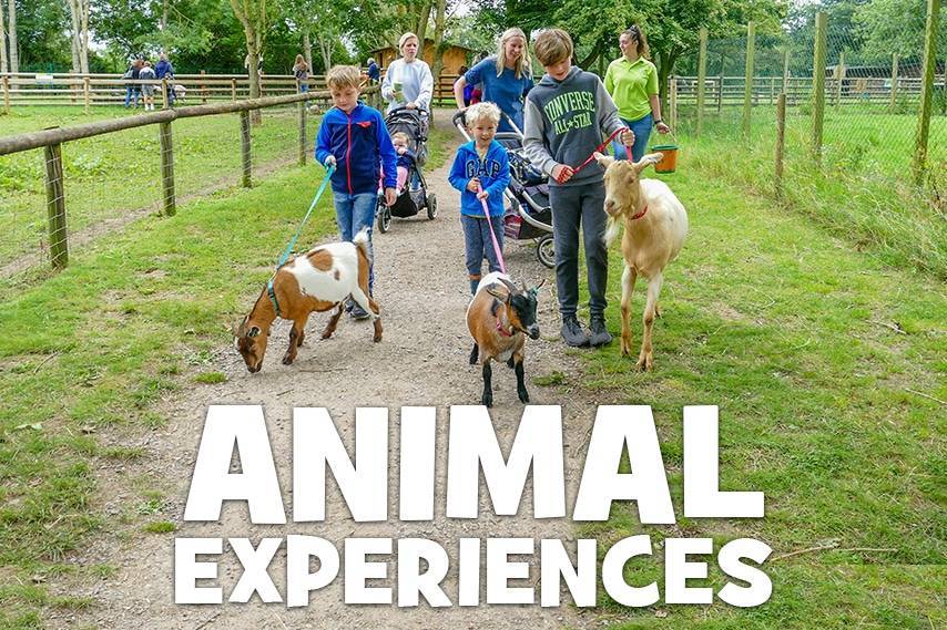 Animal Experiences at Fairfield Animal Centre