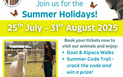 Enjoy a Day Out with the Kids this Summer