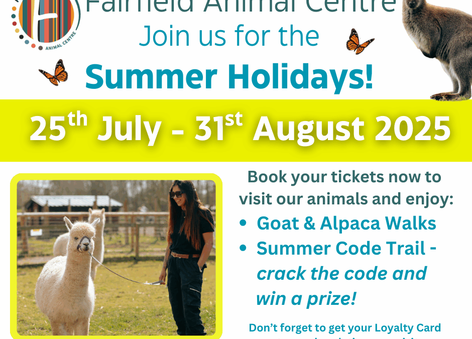 Enjoy a Day Out with the Kids this Summer