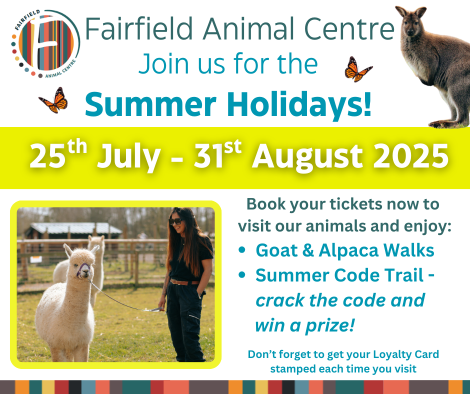 FAC Summer Holidays 2025 Summer holiday fun at Fairfield Animal Centre