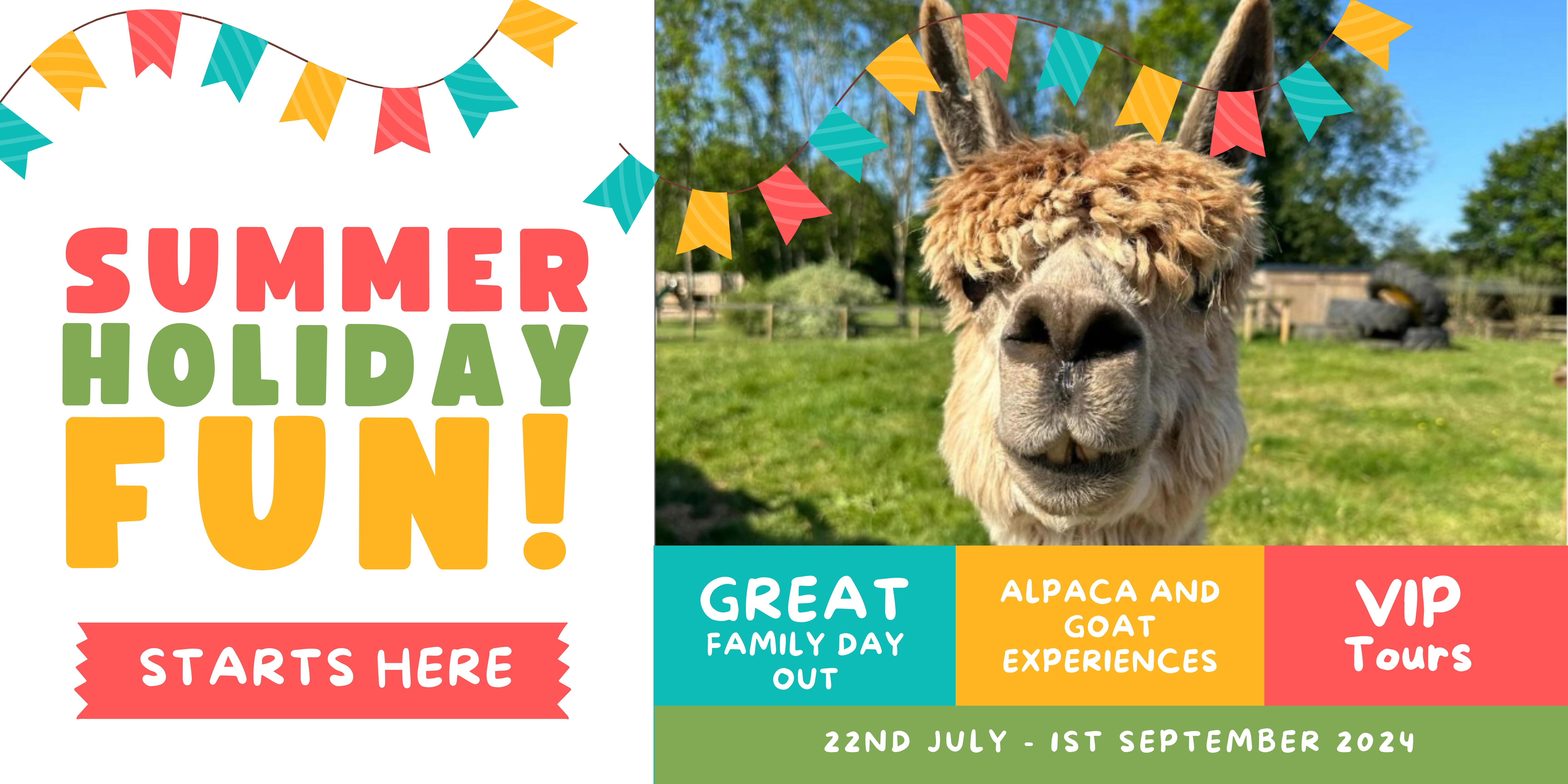 Summer holiday fun at Fairfield Animal Centre