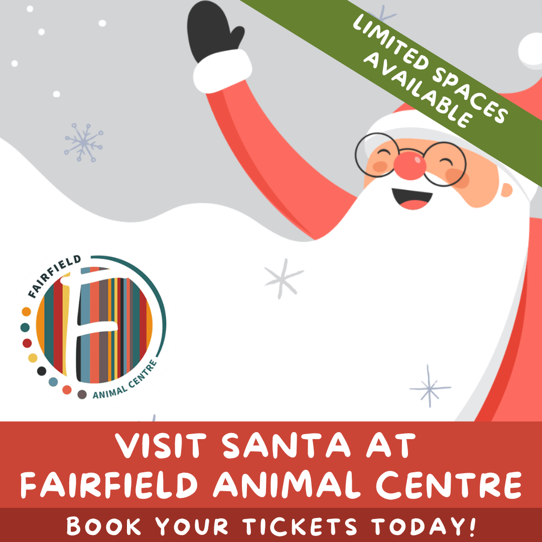 Visit Santa at Fairfield Animal Centre