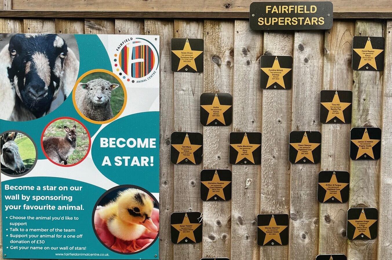 Animal Experiences at Fairfield Animal Centre