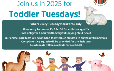 Toddler Tuesdays: Enjoy Free Adult Entry