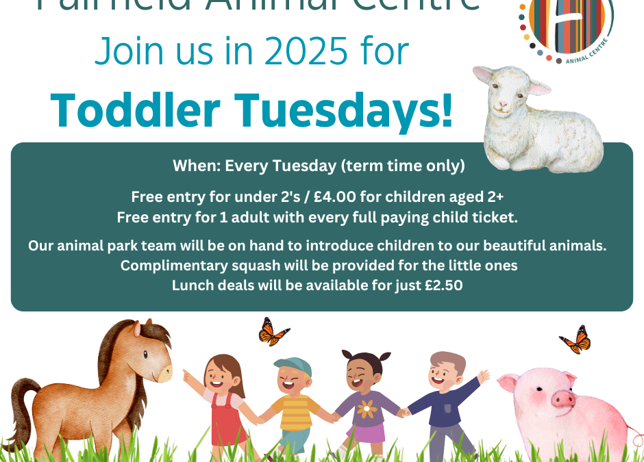 Toddler Tuesdays: Enjoy Free Adult Entry