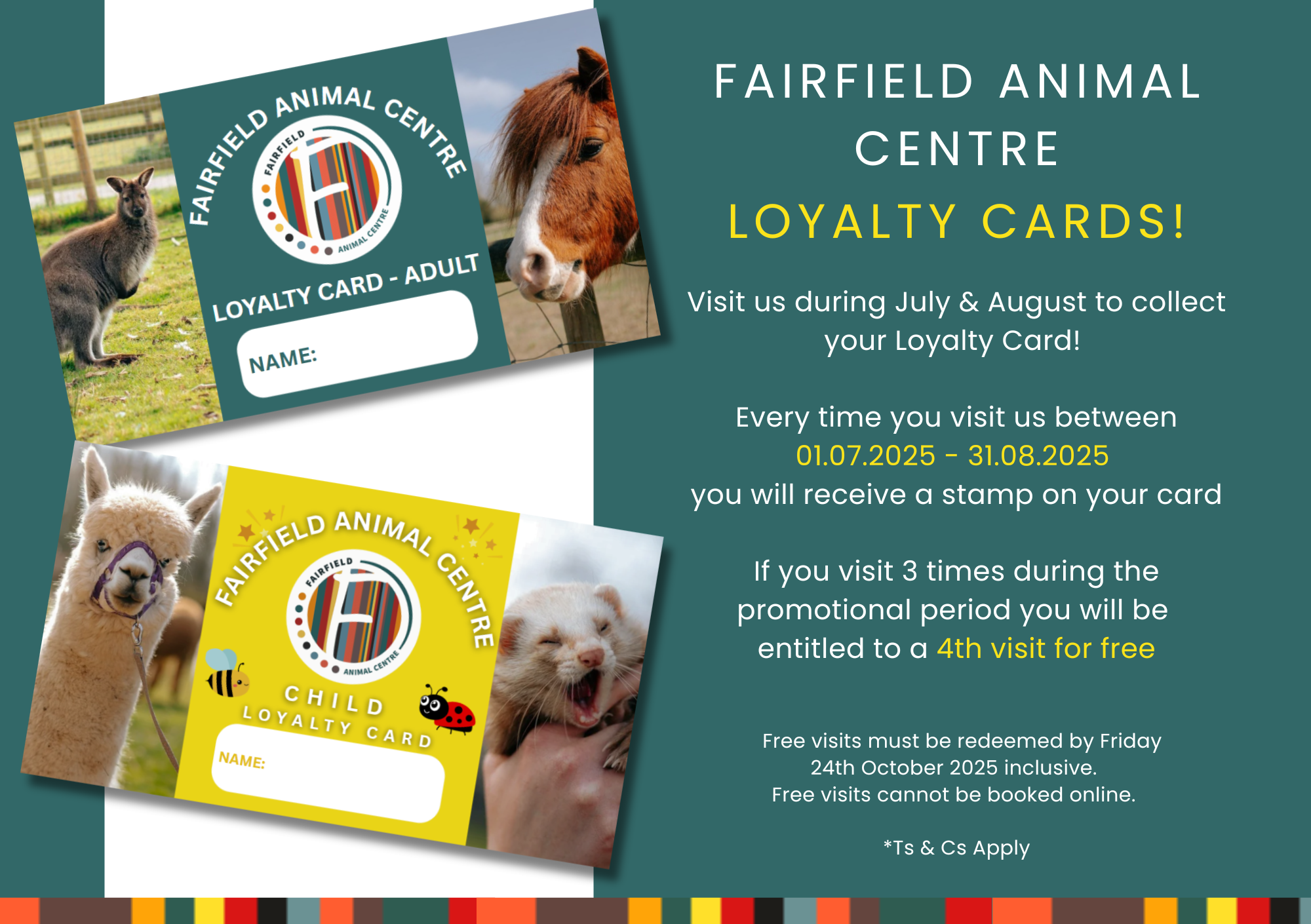 A5 Landscape FAC Loyalty Cards Summer 2025