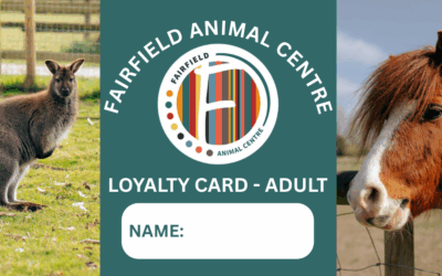Summer 2025 Loyalty Card