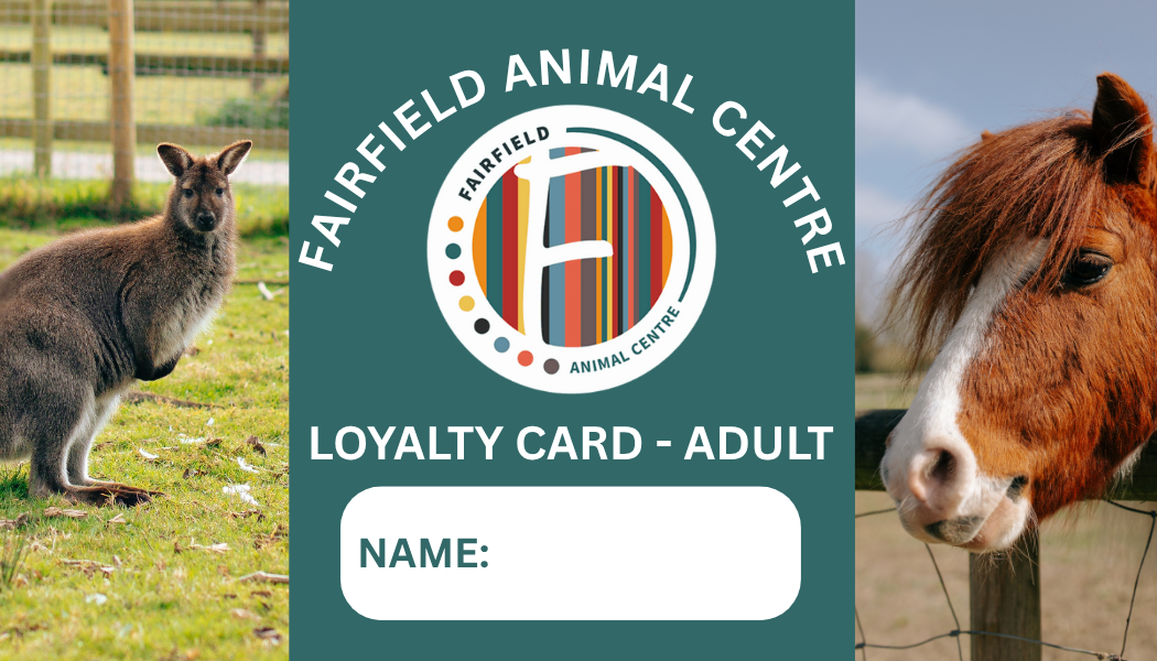Summer 2025 Loyalty Card
