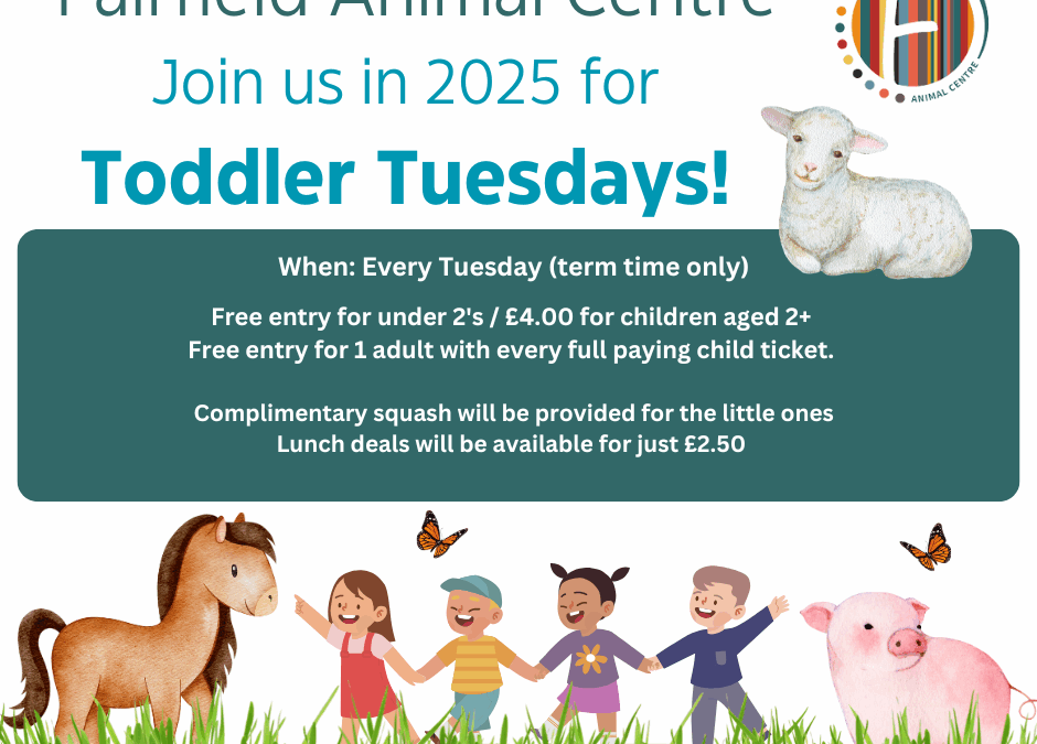 Toddler Tuesdays: Enjoy Free Adult Entry
