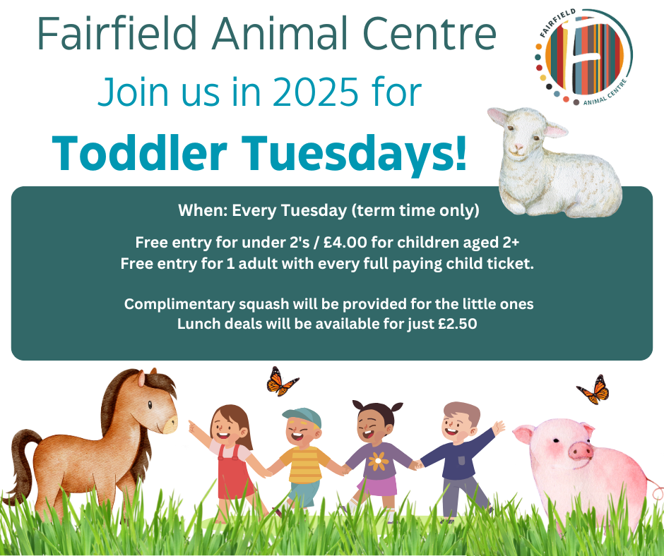 Toddler Tuesdays FAC Jan Feb 2025 (2)