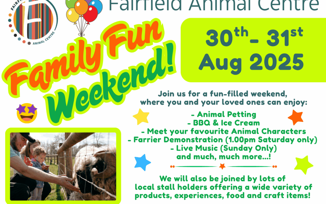 Family Fun Weekend!