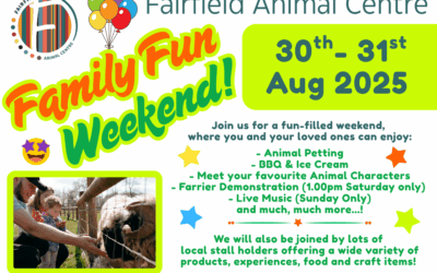 Family Fun Weekend!