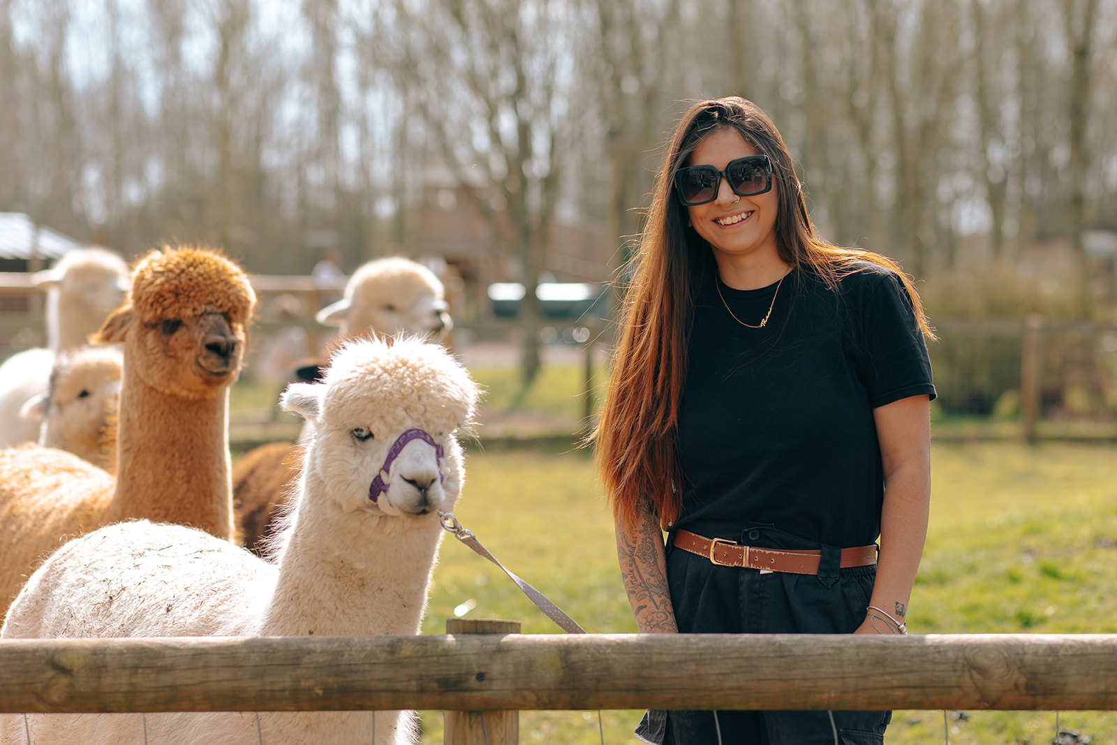 Fairfield Animal Centre