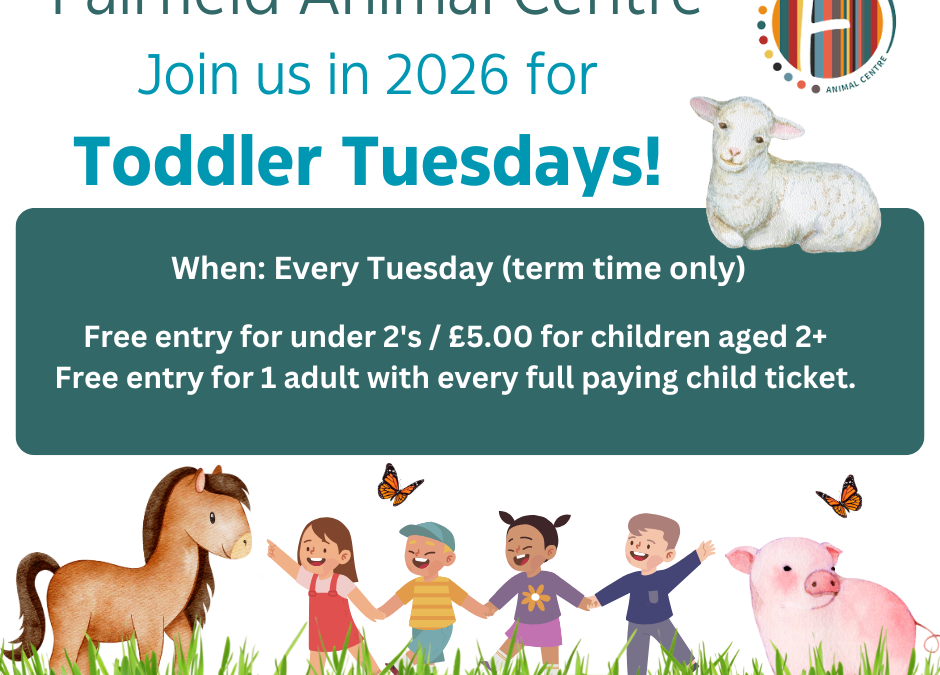 Toddler Tuesdays: Enjoy Free Adult Entry