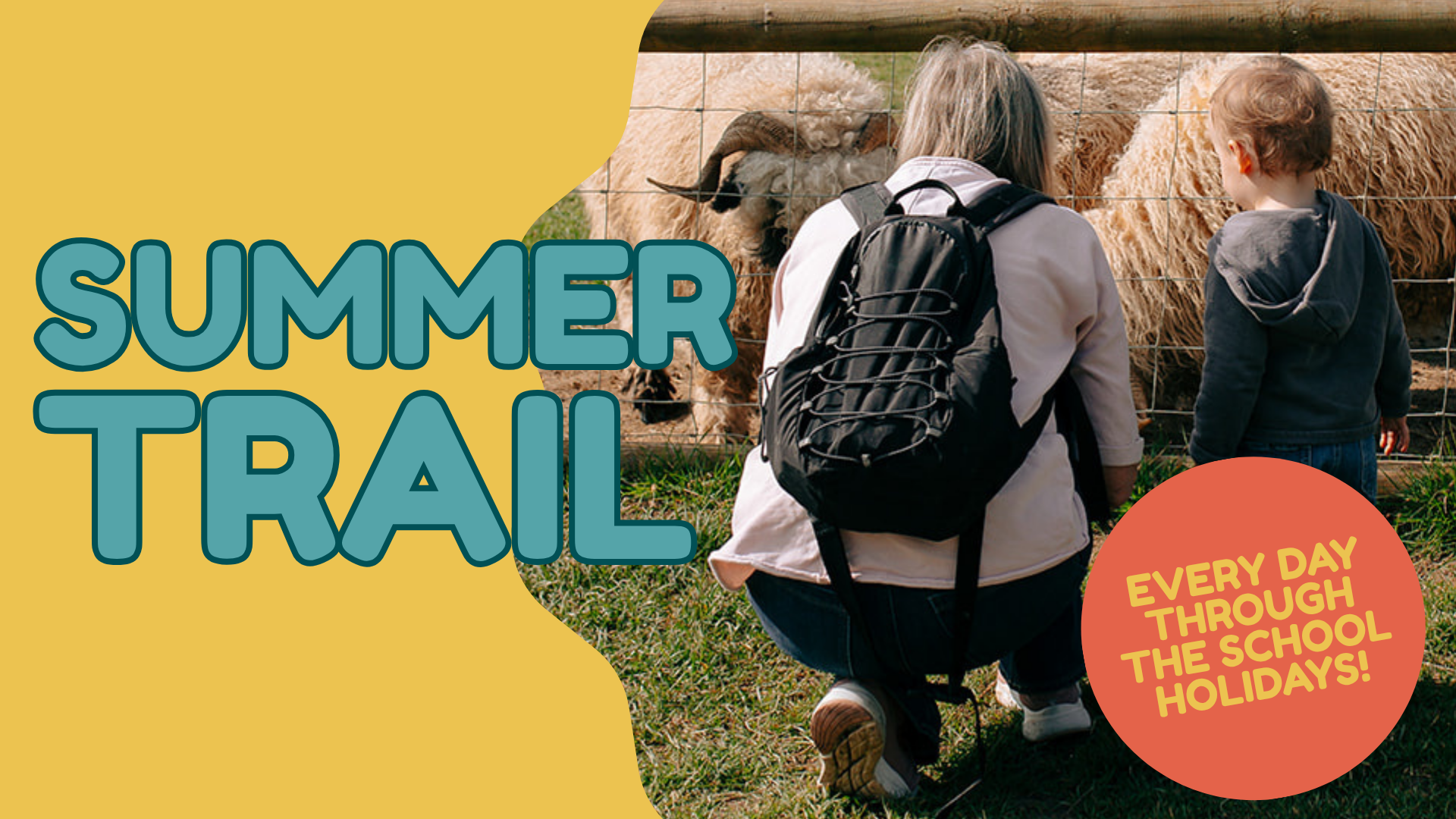Summer Trail