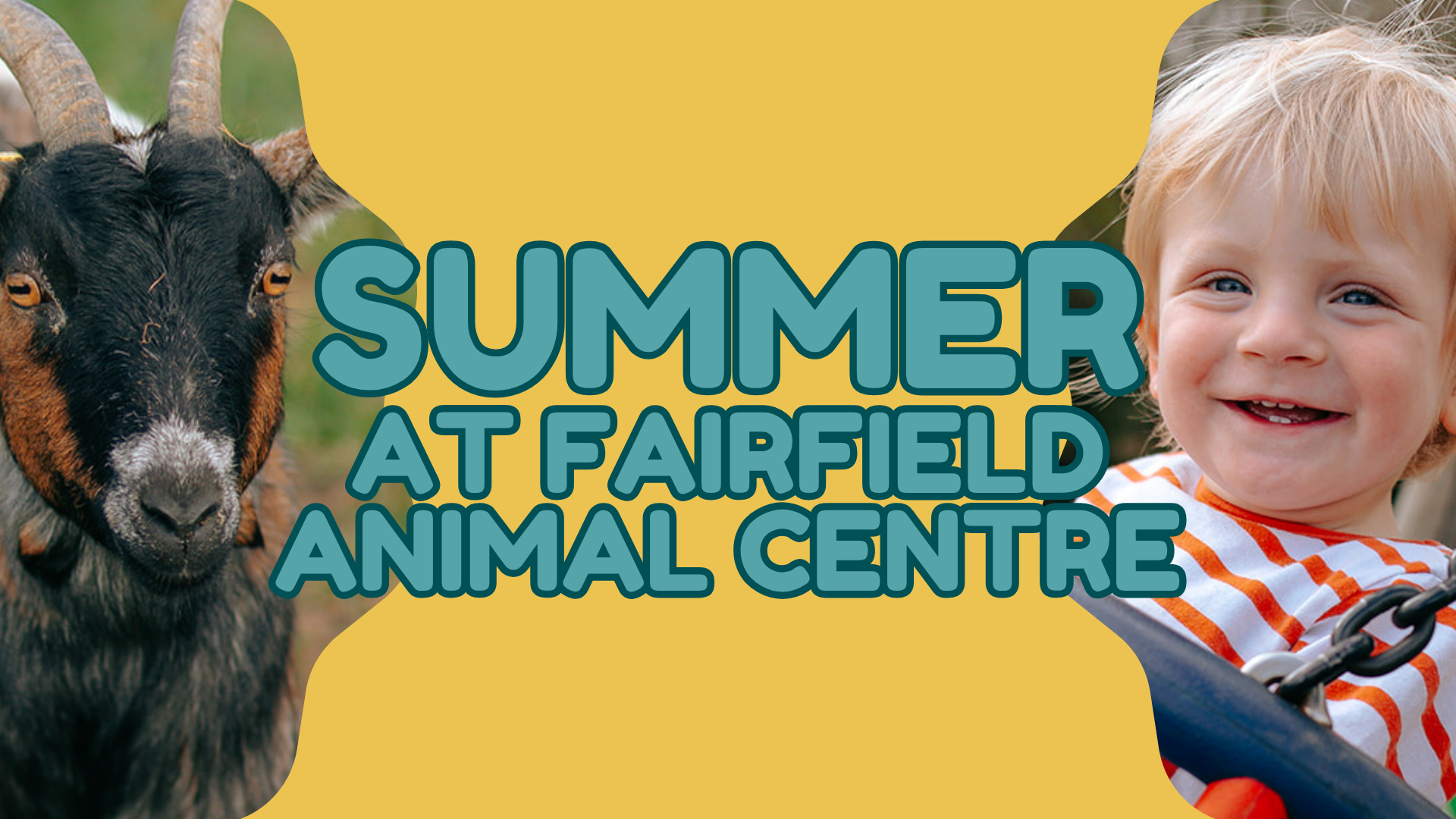 Fairfield-Animal-Centre-Easter-Activities-for-Kids
